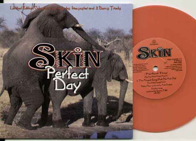 Skin - Perfect Day LP