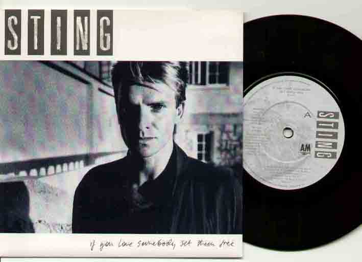 If You Love Somebody - Sting