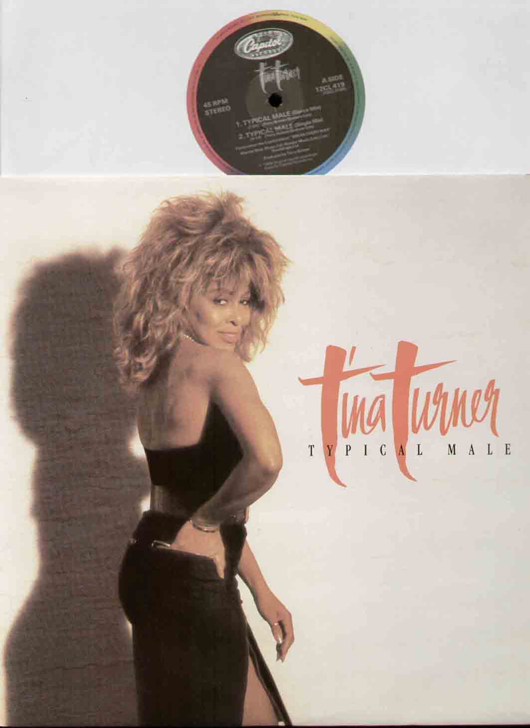 Tina Turner - Typical Male Album