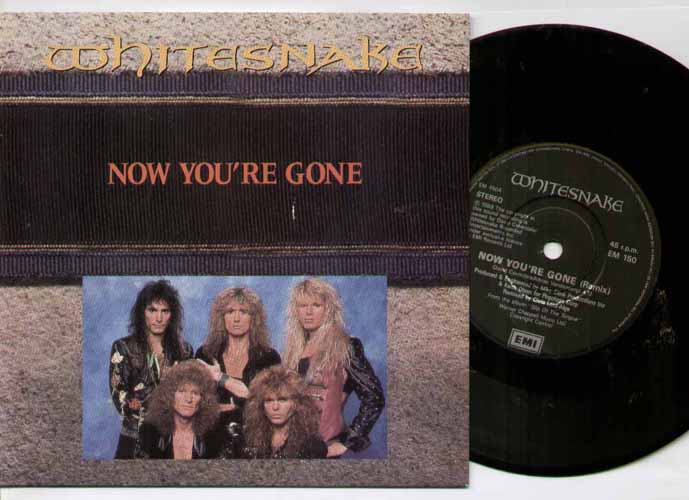 WHITESNAKE - NOW YOUR'E GONE PICTURE SLEEVE - 7inch (SP)