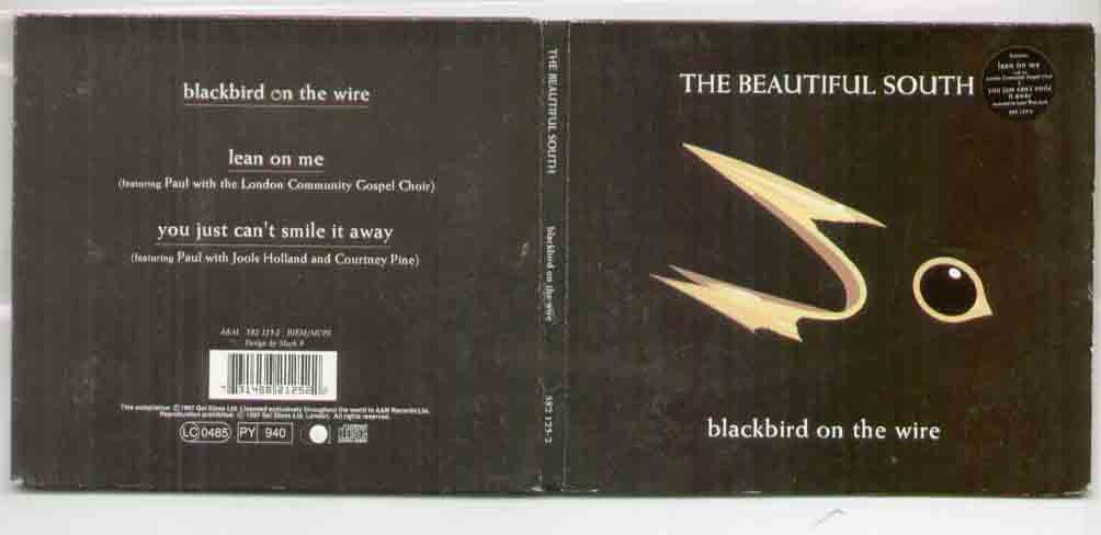 Beautiful South - Blackbird On A Wire
