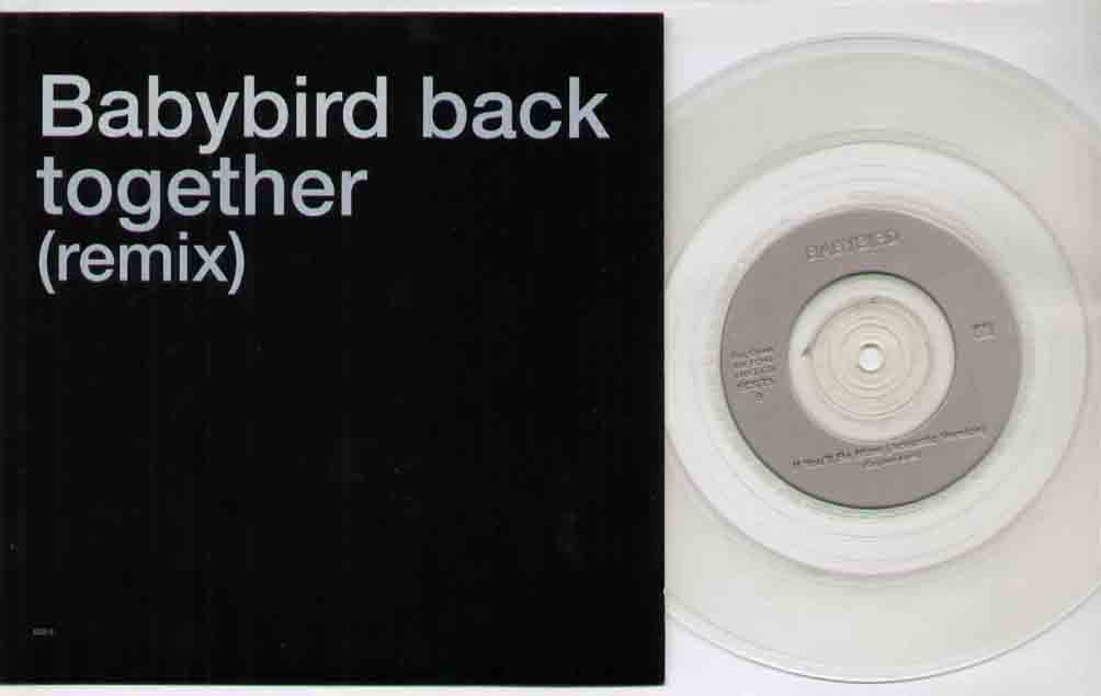 Baby Bird 7