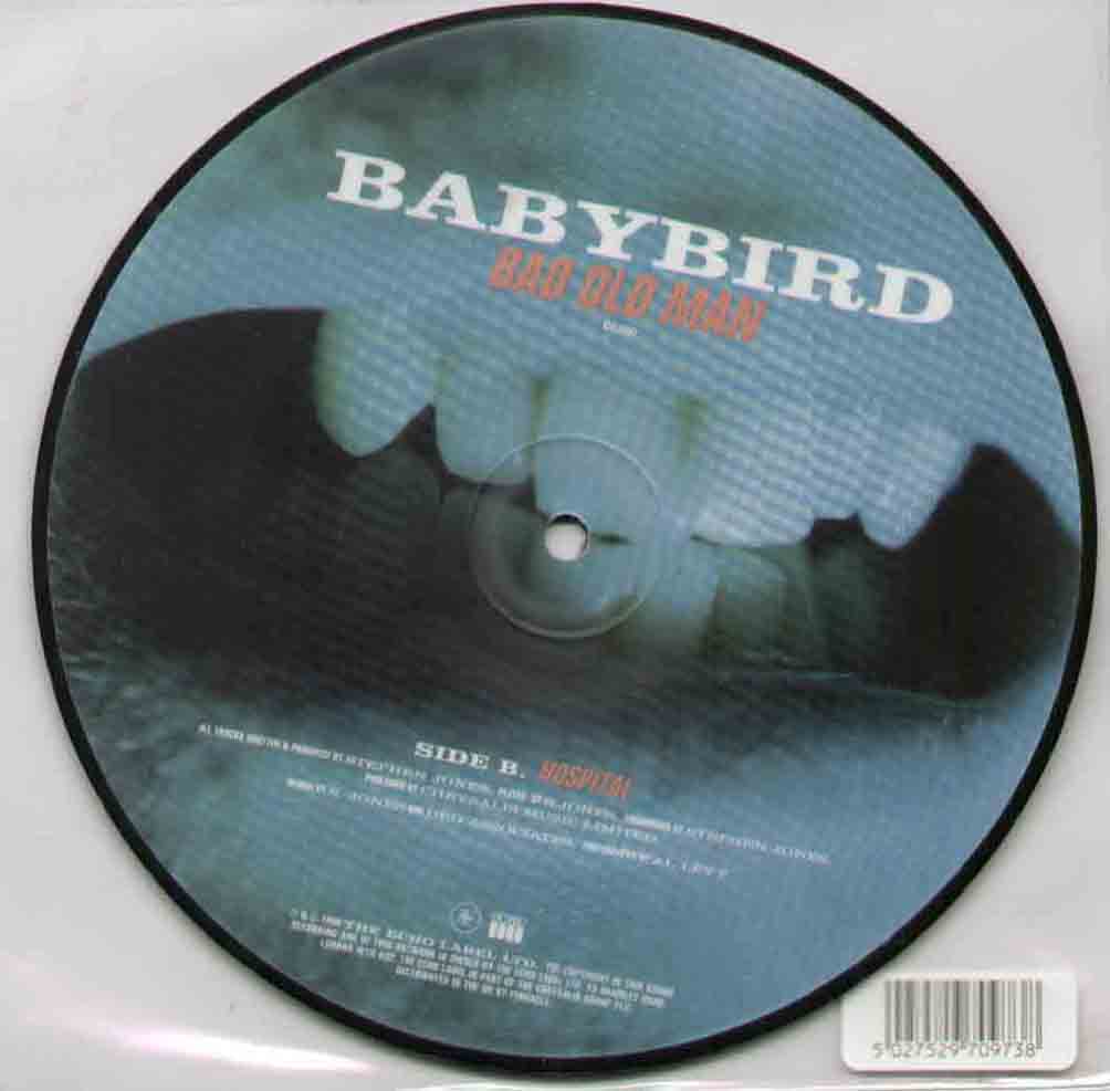 Baby Bird 7