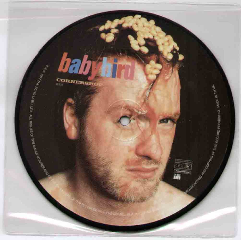 Baby Bird 7
