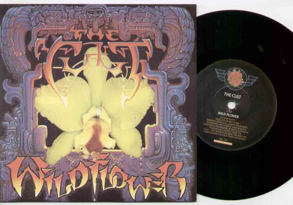 Cult - Wild Flower
