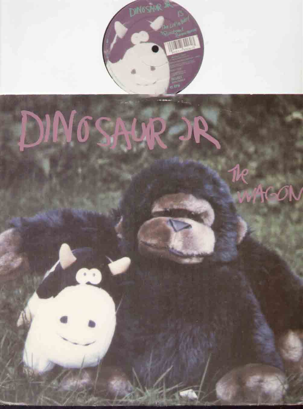 Dinosaur Jt 12