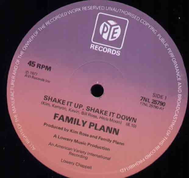 Shake It Up Shake It Down
